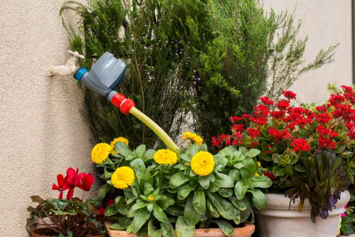 Програматор Hunter BTT за чешма с Bluetooth® управление-gcHw6.jpeg