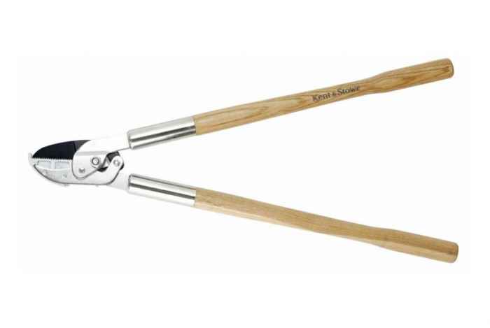 Ножица за клони наковалня-hdNsj.jpeg