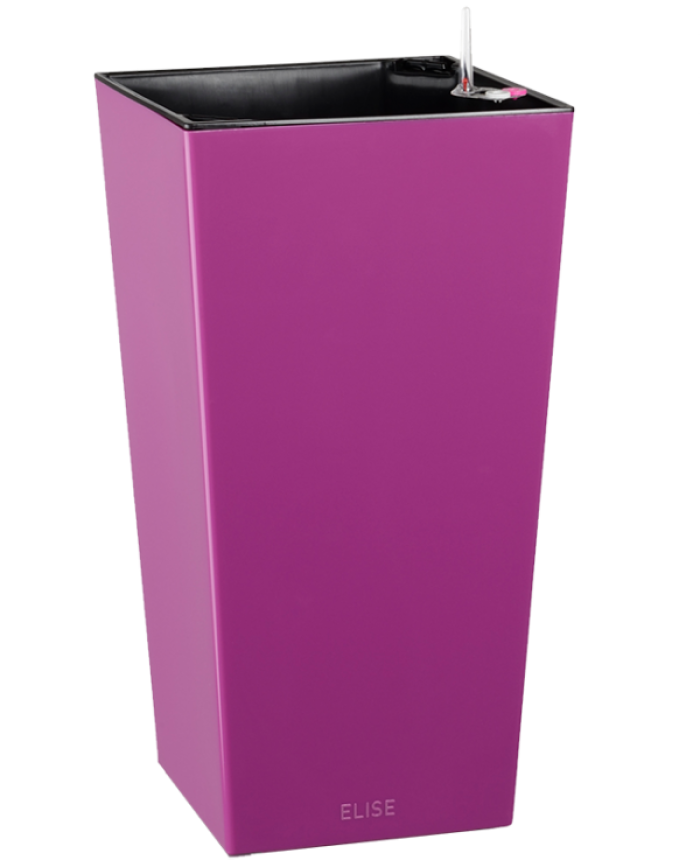 Саксия ELISE matt 20-iWcoE.png