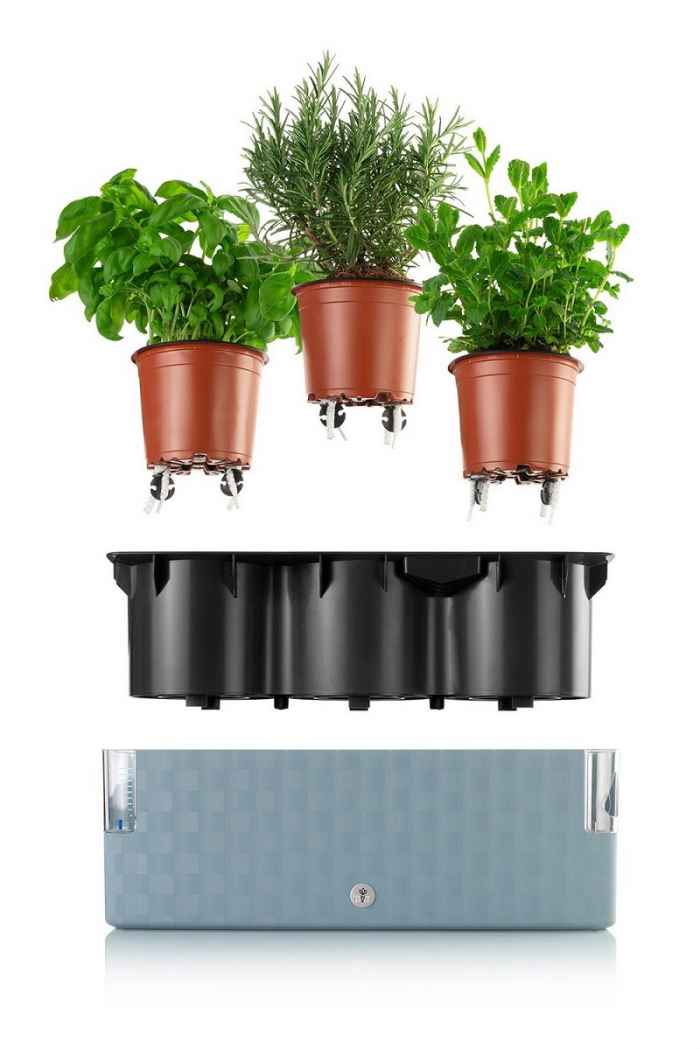 Саксия Cobble trio 14-jphbs.jpeg