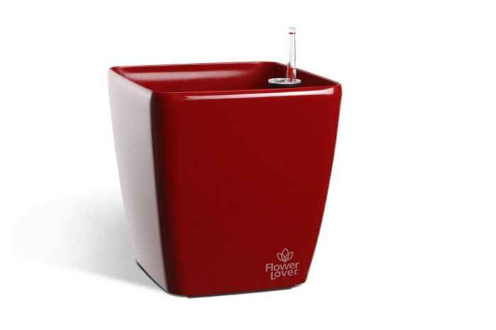 Саксия Quadrato 25-kGqJm.jpeg