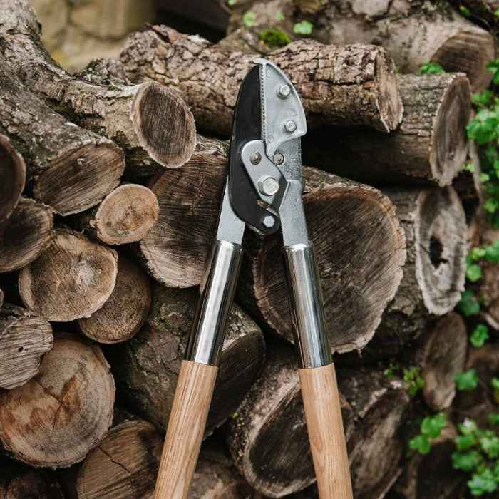 Ножица за клони наковалня-kKfts.jpeg