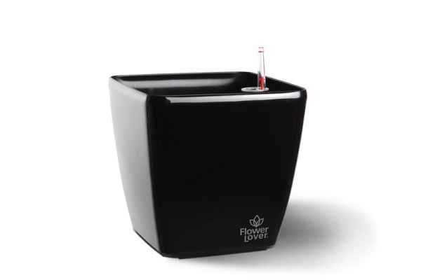 Саксия Quadrato 18