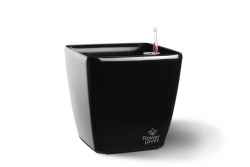 Саксия Quadrato 18