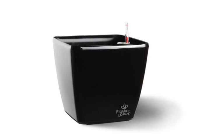 Саксия Quadrato 18-kVRer.jpeg