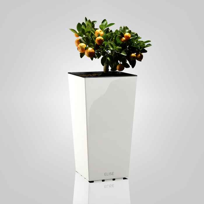 Саксия ELISE matt 20-kcD8m.jpeg