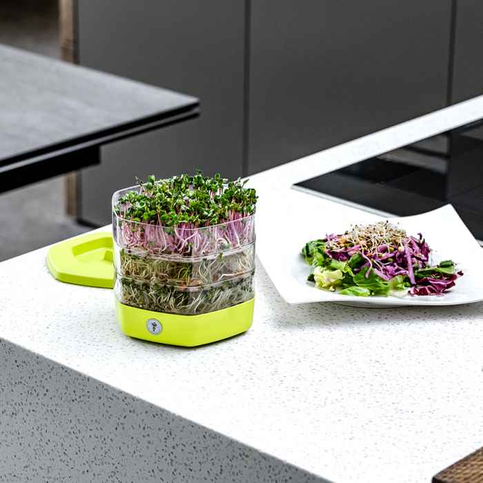 Съд за покълване на семена Mungo-mWEWk.jpeg