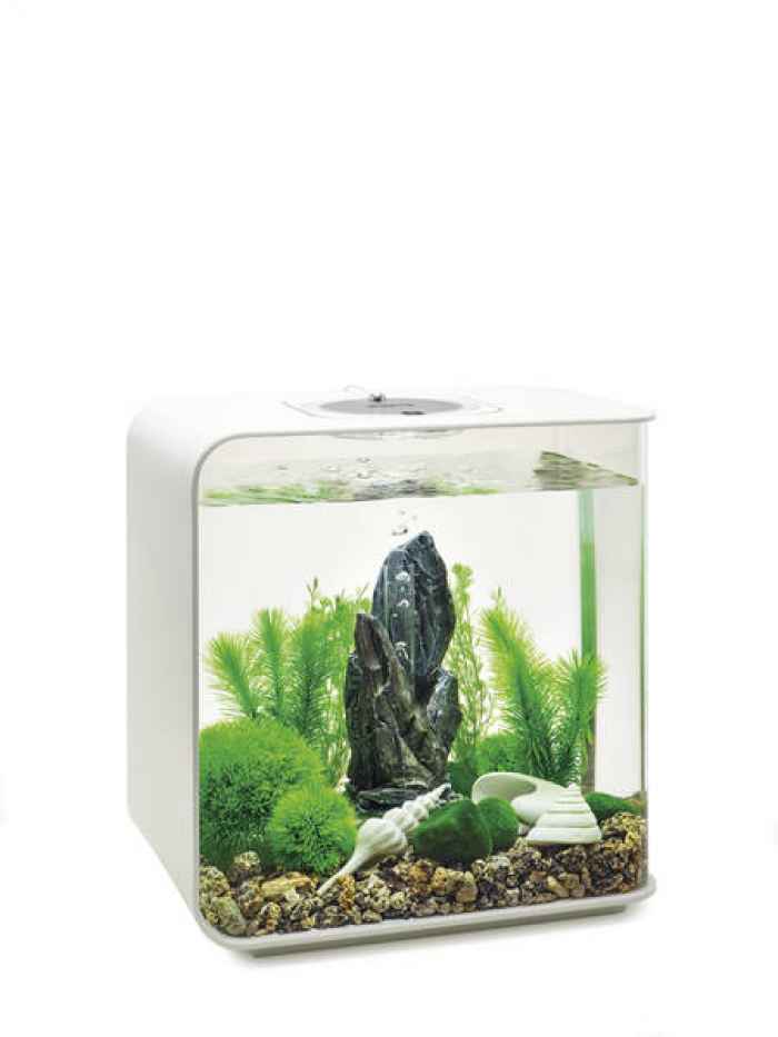 Комплект за декорация BiOrb Stone Garden-nCpA1.jpeg