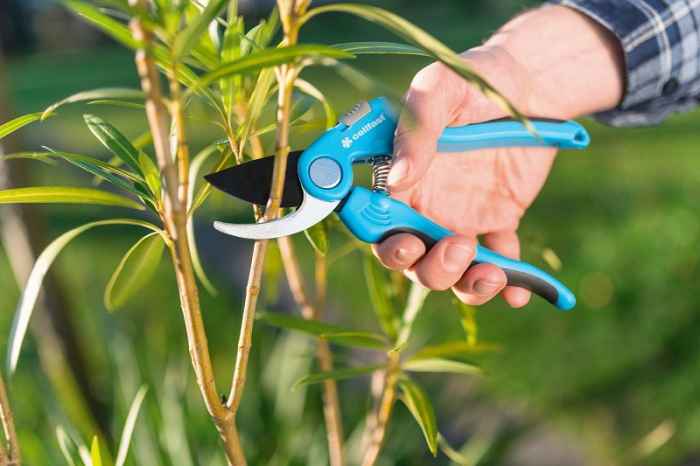 Лозарска ножица IDEAL™-nQjdw.jpeg