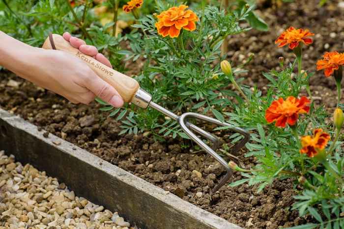 Градински ръчен култиватор - неръждаема стомана-nUknl.jpeg