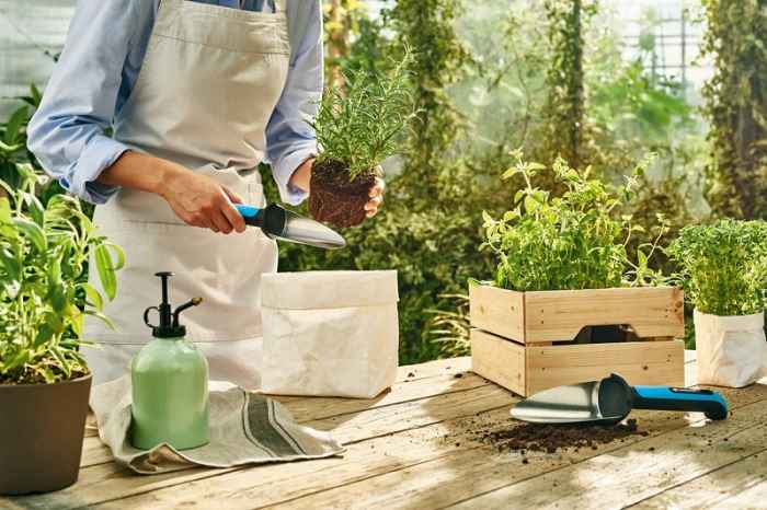 Малка градинска лопатка ERGO™ - широка-uACHc.jpeg