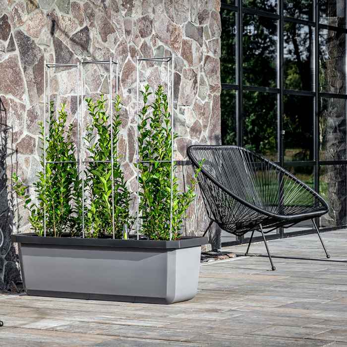 Голяма саксия с напоителна система Largo Trio за 3 самостоятелни растения-ubOOc.jpeg