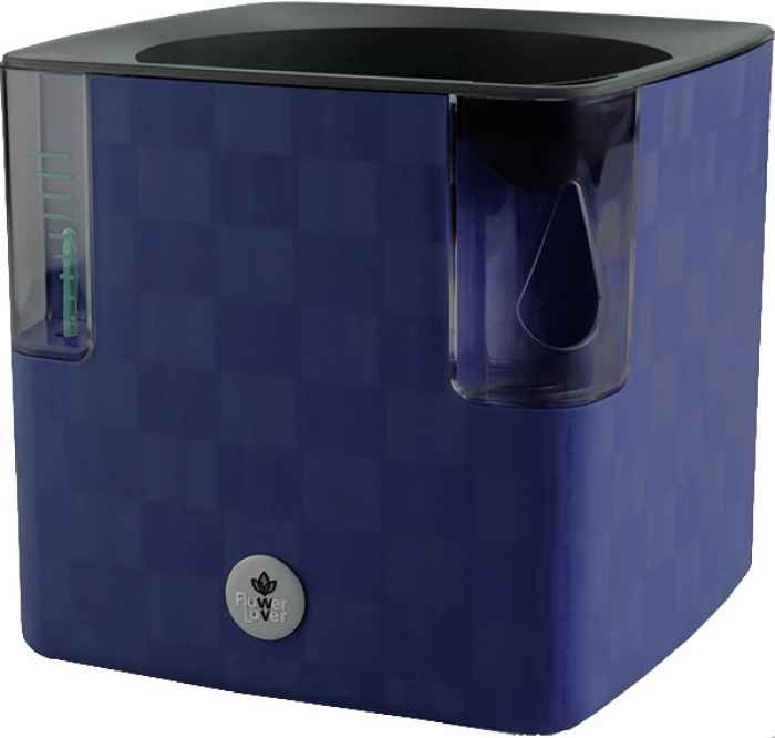 Саксия Cobble 14-wCYuV.jpeg