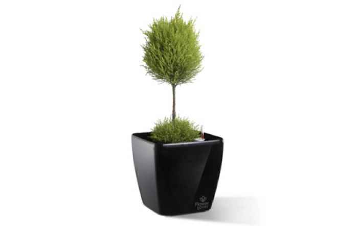 Саксия Quadrato 18-wSsc1.jpeg