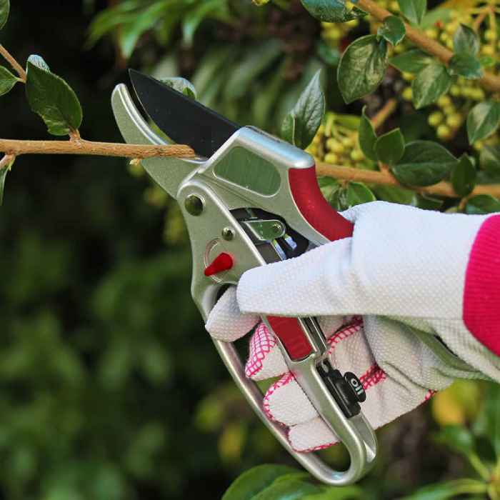 Градинарска ножица Kent&Stowe 2в1-xWNwT.jpeg