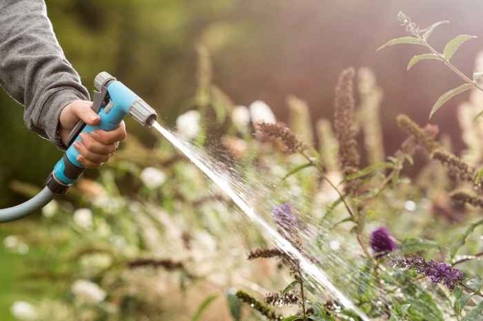 Пистолет HYDRON IDEAL™-zGNEe.jpeg